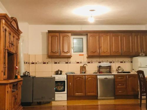 Dedushi Guesthouse &Wood Cabins-Camping Place Gusinje Bagian luar foto
